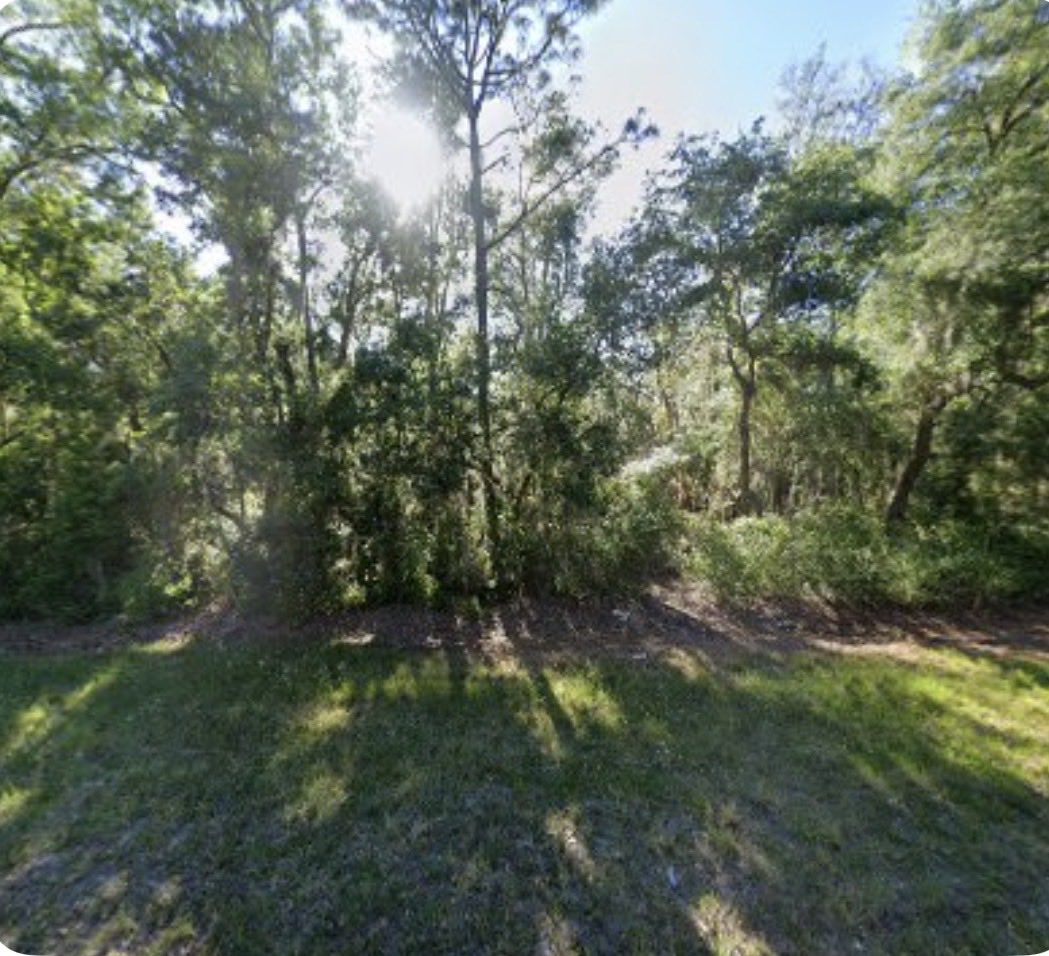 wayne77784218's tweet image. Started to buy designer but instead I purchased land.For sale 
#florida
#YouBuildItTheyWillCome
#generalcontractor
#GenerationalWealth
#vipltd