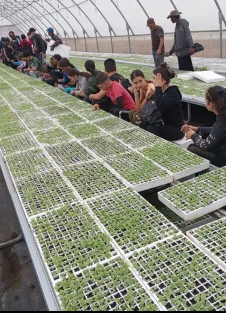 En el territorio de #SanLuis la Formación Laboral dentro del Programa de Estudio, constituye el eslabón fundamental para vincular estudio-trabajo, y a la vez contribuye a la formación de jóvenes patriotas #PinarXNuevasVictorias .