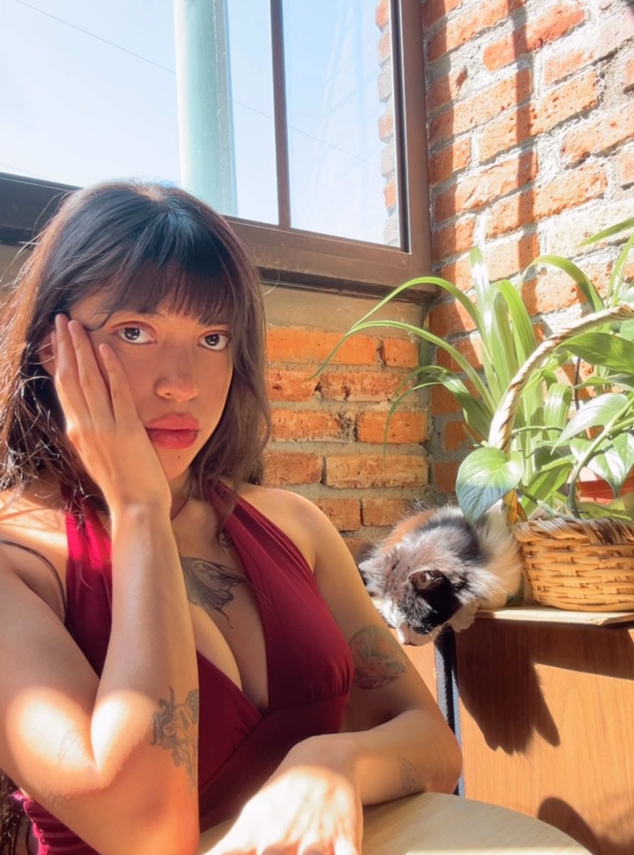 gato mandarino𖦹 tweet media