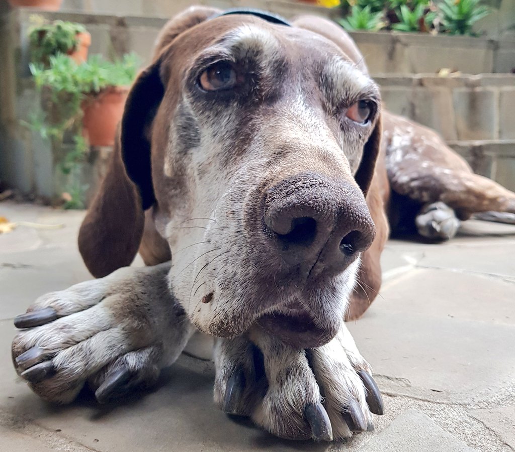 Oggi sono andato a trovare il mio vecchio