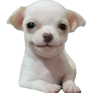 monirhdzf's tweet photo. @Slobaby_ Oki y ahora explica tu foto de portada https://t.co/PszFYn1gkk