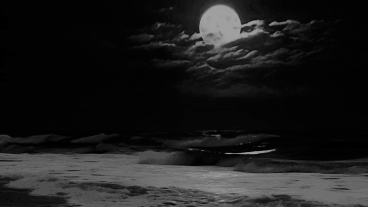 SirenOfDark's tweet image. 