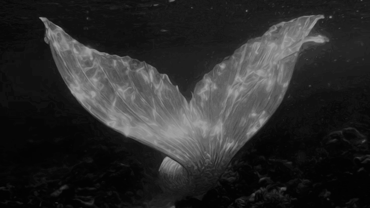 SirenOfDark's tweet image. 