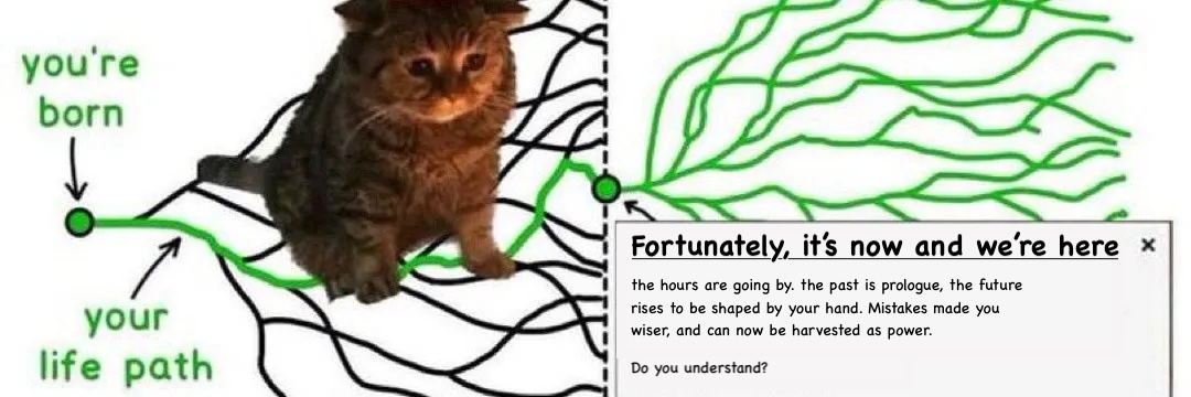 bashu, thanks (@bashu_thanks) on Twitter photo 