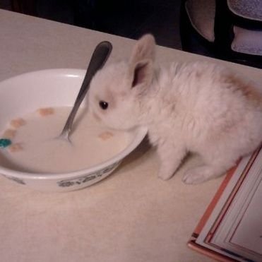 derekie🎨PATREON FOR😏🤭 tweet media