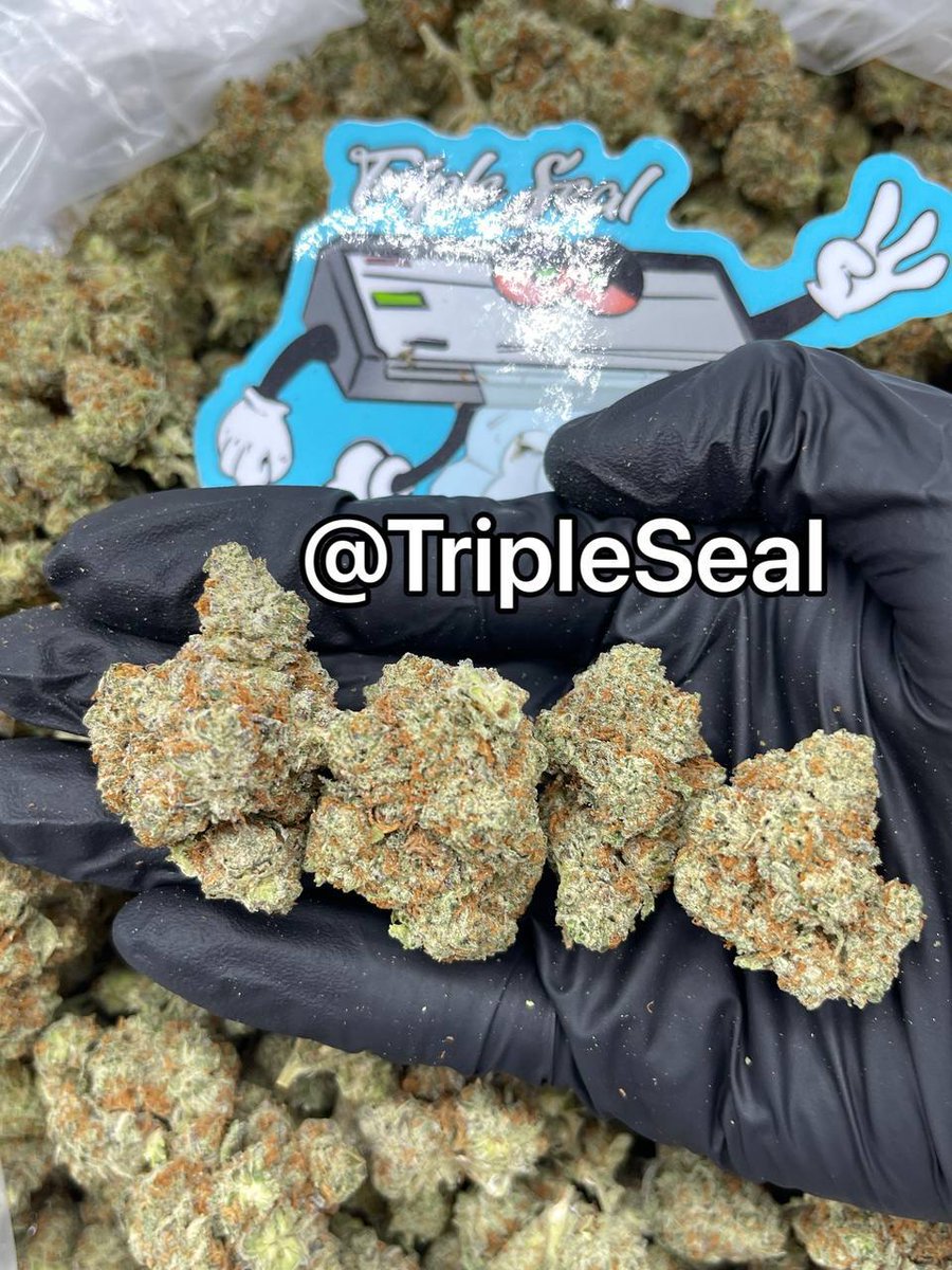 Sealla Triple Seal Official (@Triple_SealLA) / Posts / X