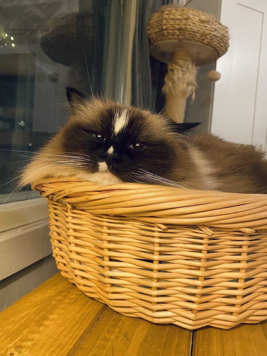 Hyvää iltaa, god afton. Seuraa illan Loppan numerot… tai kirjaimet…

 Z
    Z
       Z
          Z
             Z
                Z
                   Z