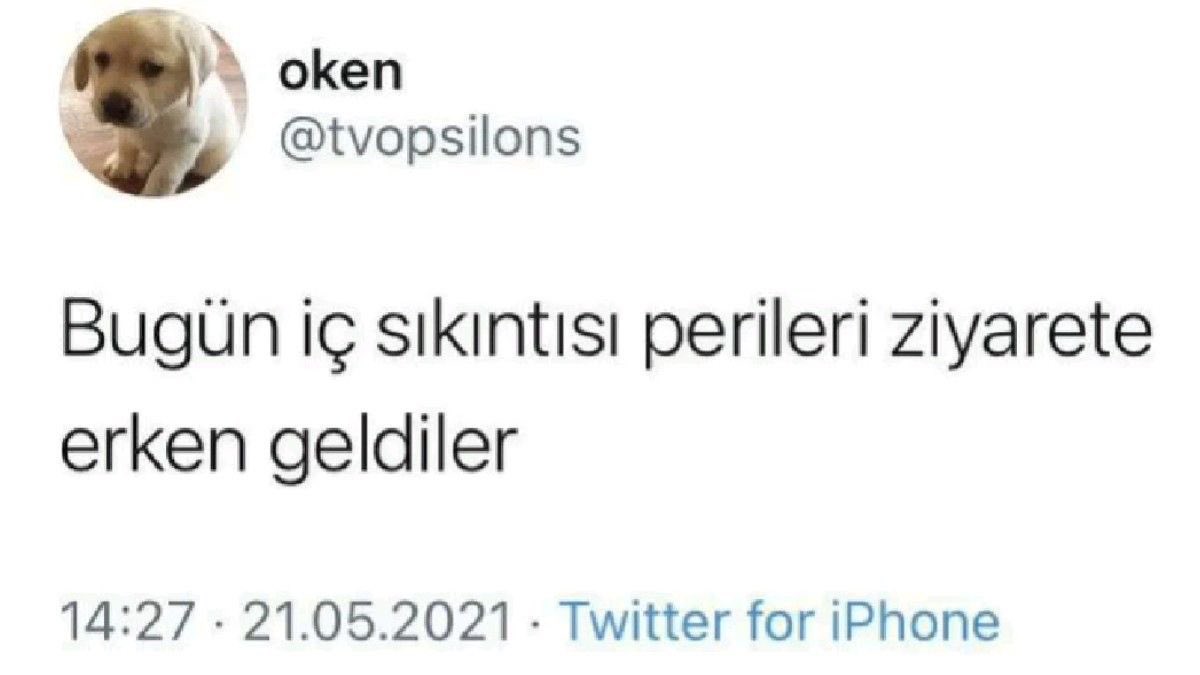 ilaydaaa (@ilaydawinx) on Twitter photo 