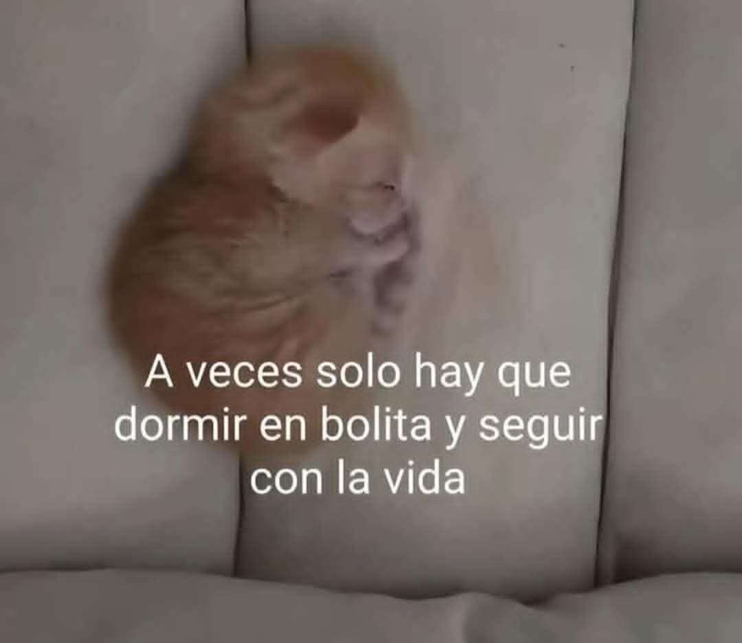 Animalesaprieto's tweet image. 