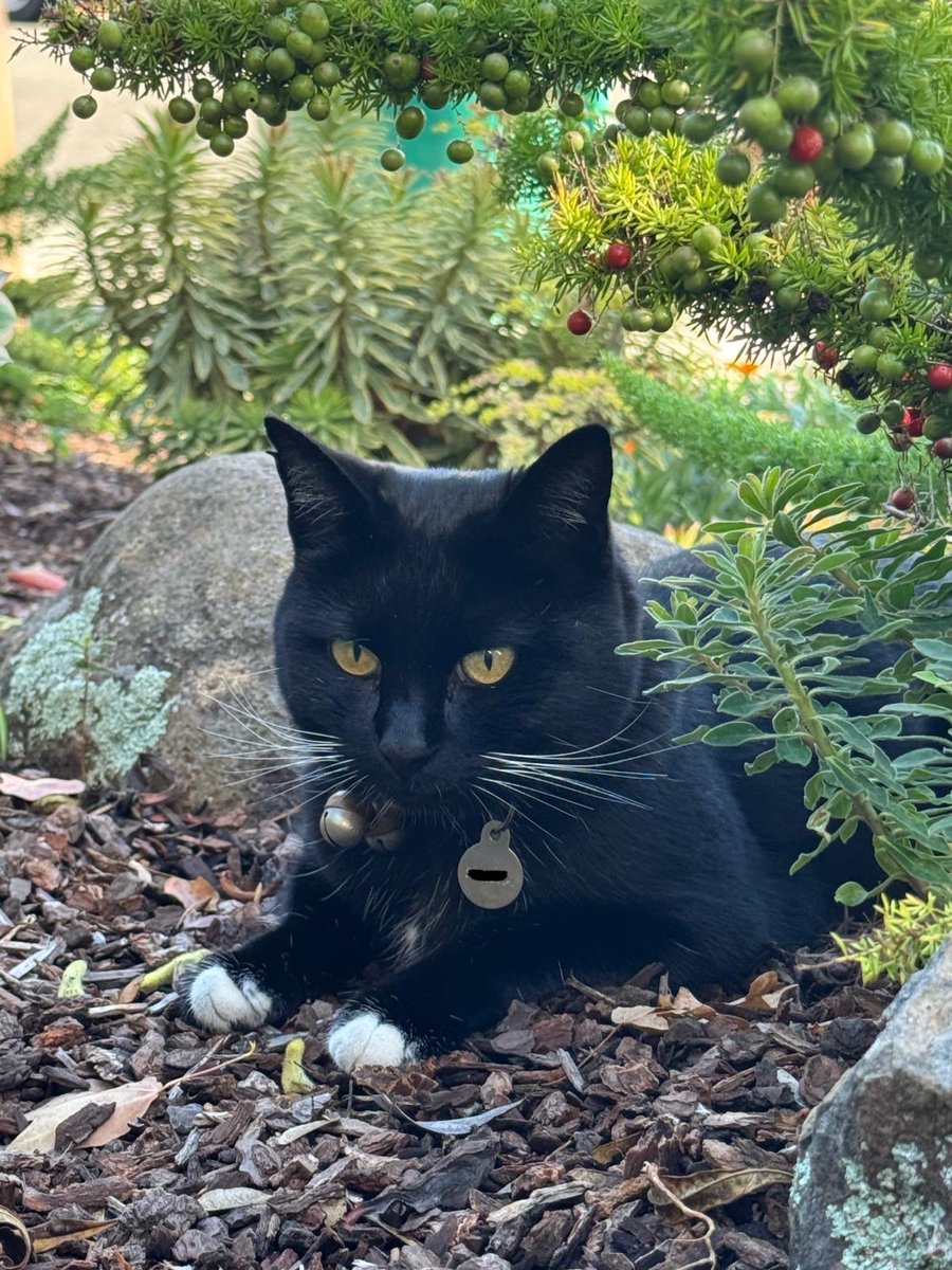 aesthetic. influemcer