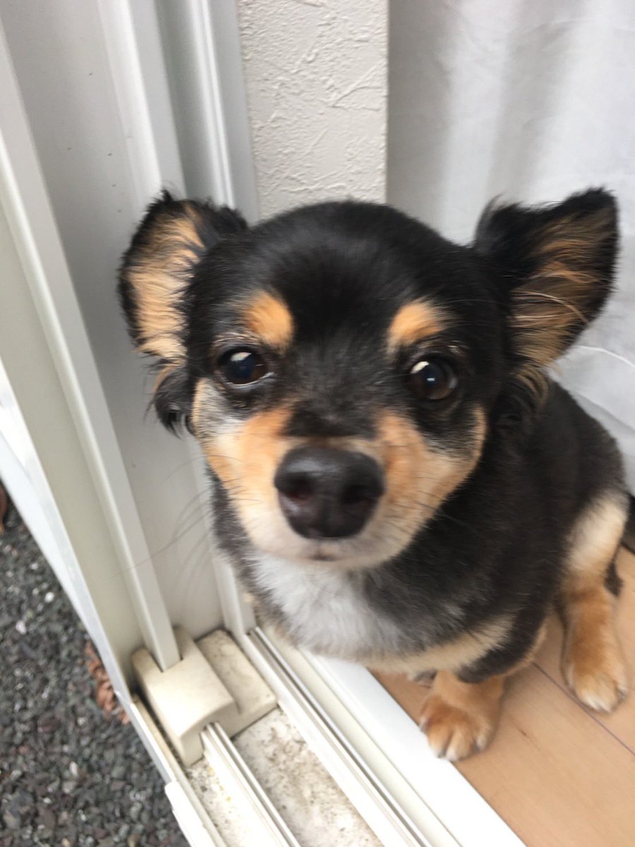 AtackNeo's tweet image. 愛してるぜ