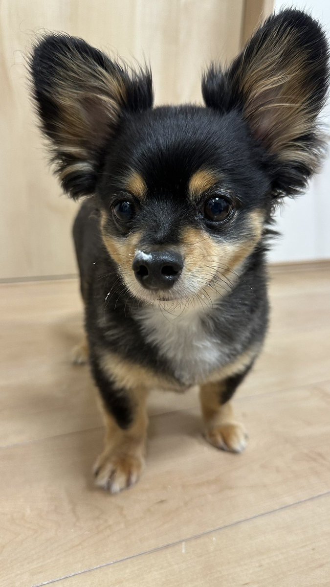 AtackNeo's tweet image. 愛してるぜ