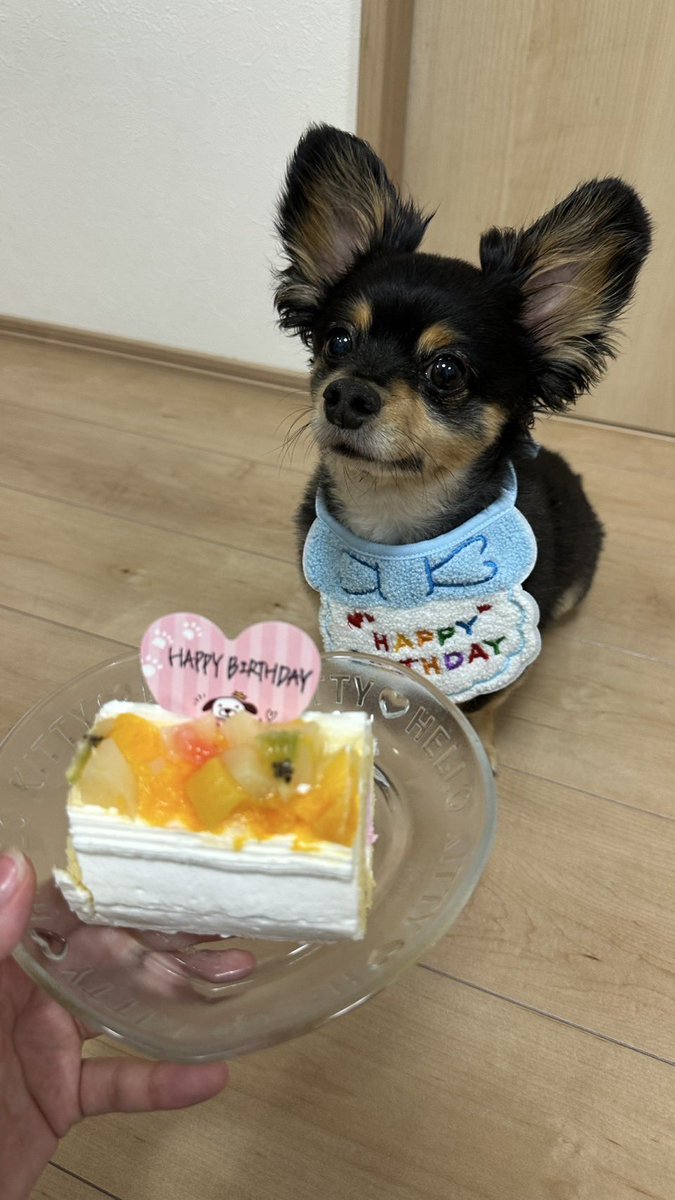 AtackNeo's tweet image. 愛してるぜ