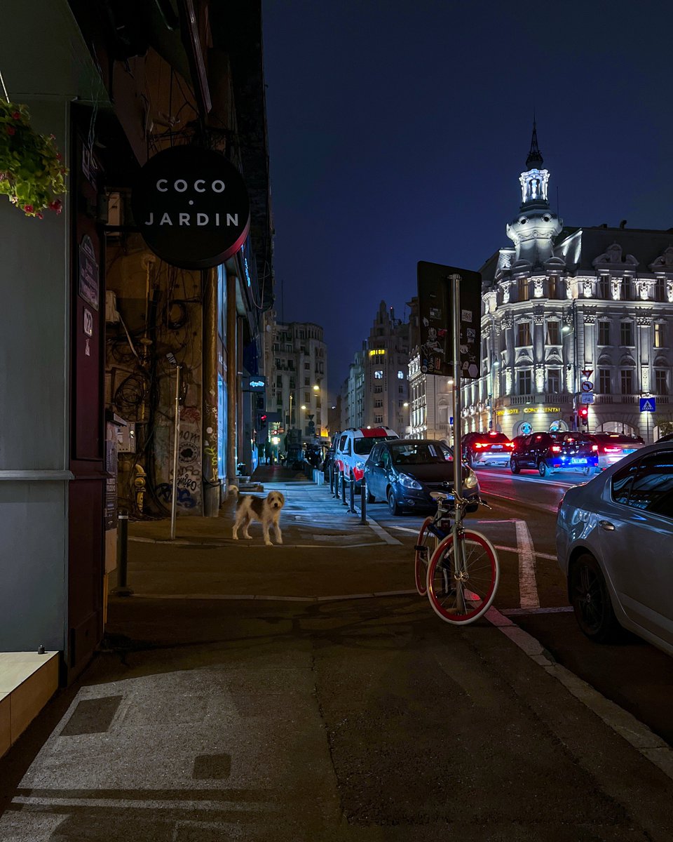 mono_grafic's tweet image. Night walk.