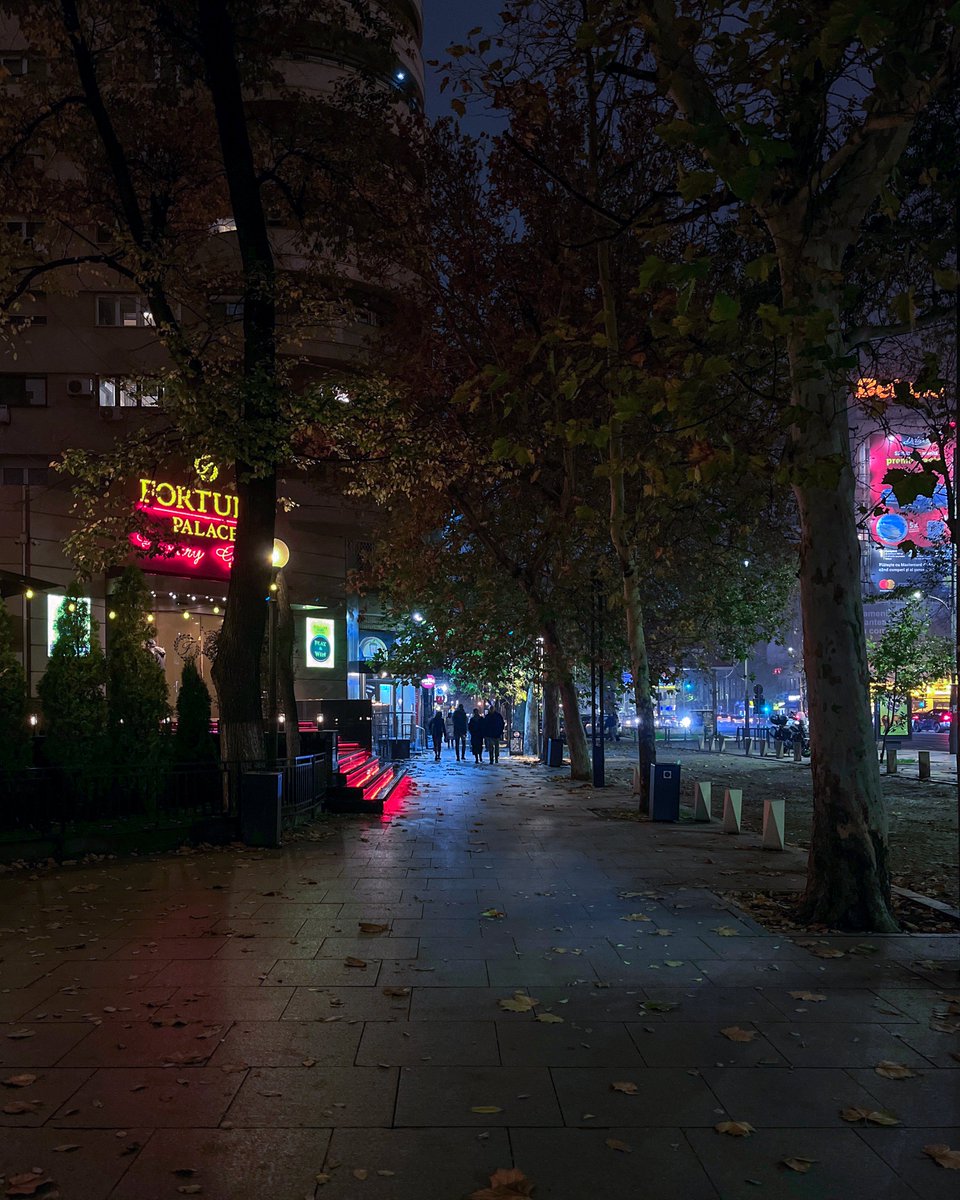 mono_grafic's tweet image. Night walk.