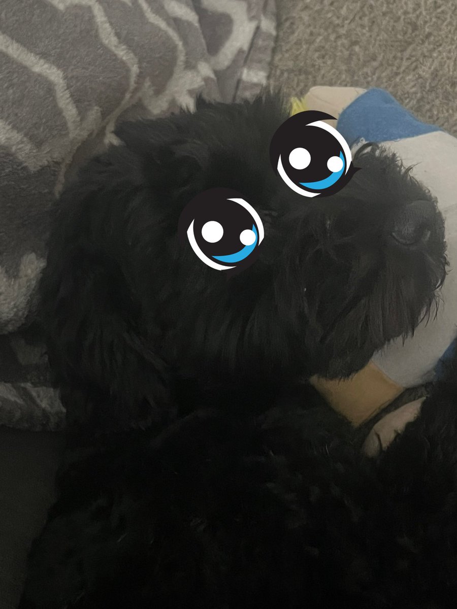 killogon's tweet photo. @markleeoomf @iamfayewebster @ilovefroyo123 @appleoomf @yuujuitadori Woof i love you more mango ada 🌈🐾 you are Pawsome https://t.co/NJnDkLFYzt