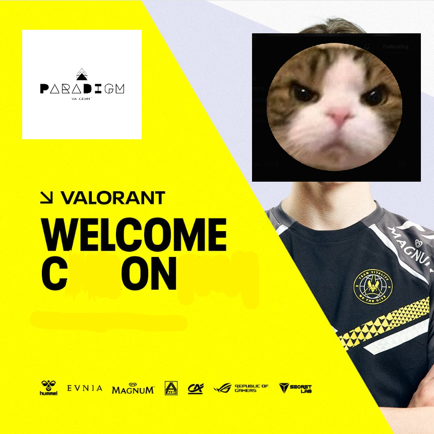 Team Paradigm tweet media