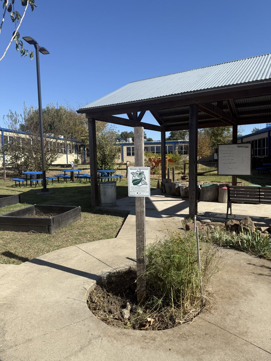CREWatDISD's tweet image. Thank you to everyone who came out to help clean up our Wolfpack Grove! 🌳
Special thanks to @TacoCabana and our PTO for donating lunch!
And a huge shoutout to Ms. B for organizing such a wonderful event. What a great day for our Wolfpack community! 💚@Region1DISD @RubyGarzaDISD