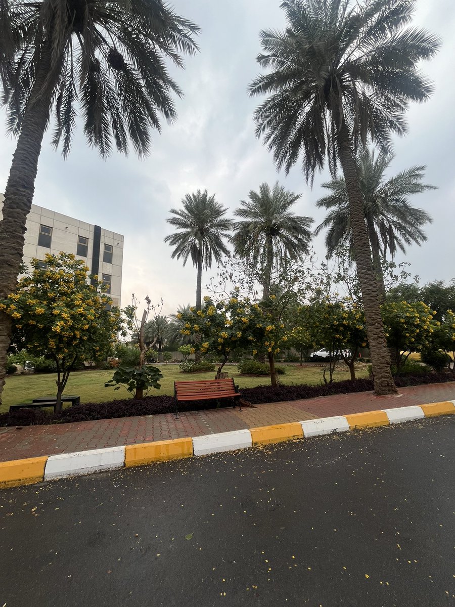 imyosur's tweet photo. 🌧️⚡️ https://t.co/5UmDmB0U3e