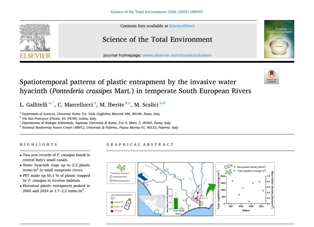 🎉 Glad to share with you our last paper on #plasticentrapment by #waterHyacinth 

🌿 We revealed a historical retention of macroplastics in #invasive aquatic vegetation.

🔗 Link: sciencedirect.com/science/articl…

#ecology #academic #news <a href="/STOTEN_journal/">STOTEN</a> @sciencedirect #researcher