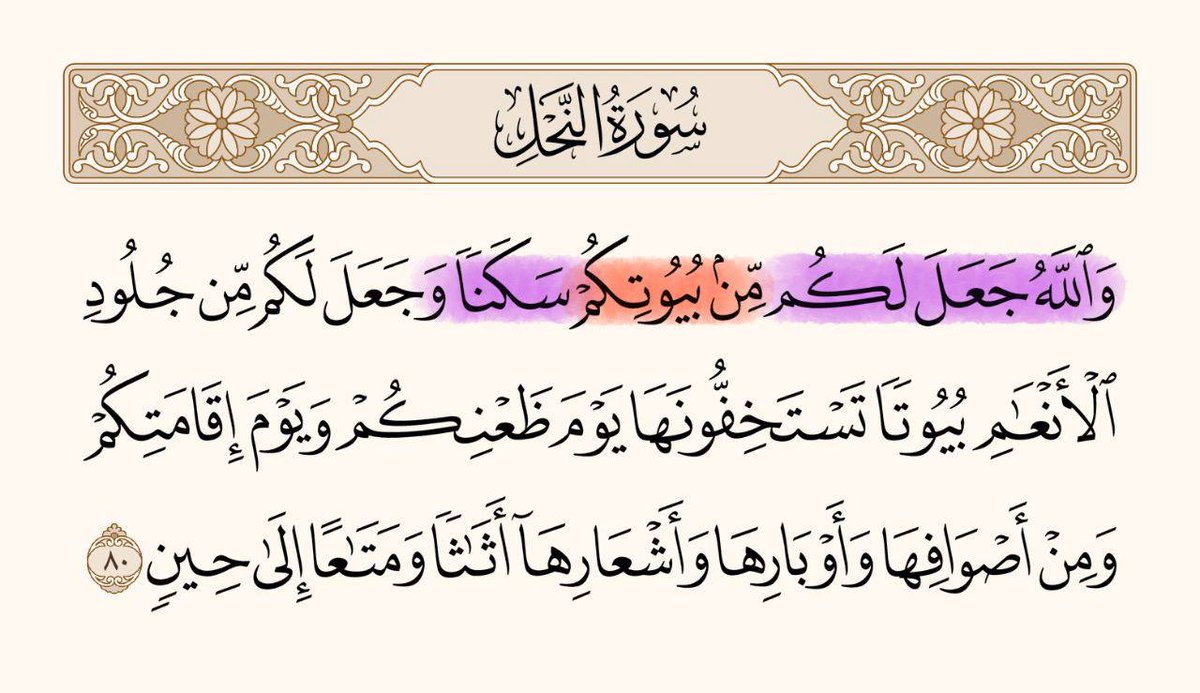 LILIA 🦋 tweet media