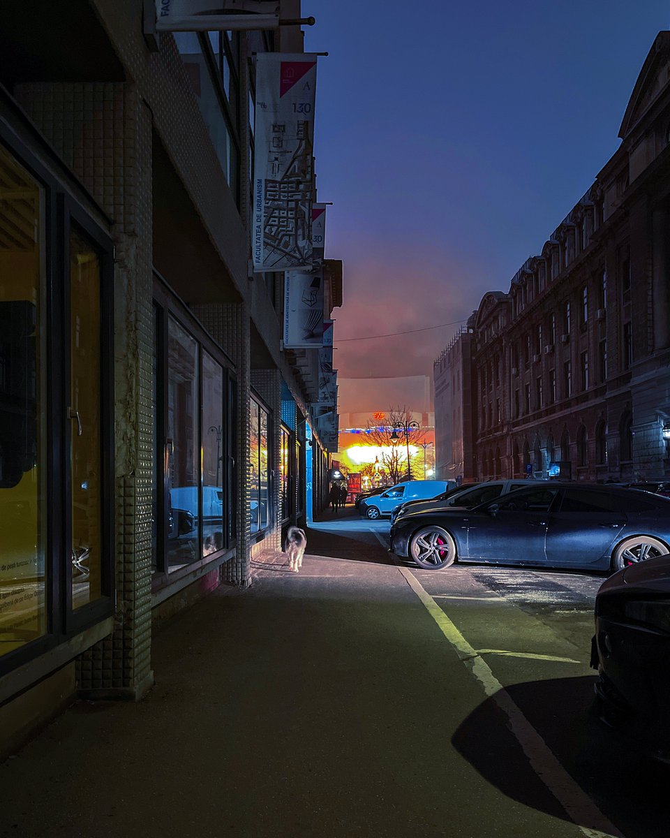 mono_grafic's tweet image. Night walk.