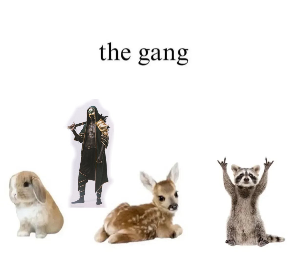 heavenlyystar's tweet image. i had to fix it (iii is the racoon)