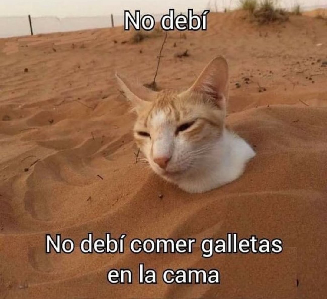 Frases Barbie (@barbie_context) on Twitter photo 