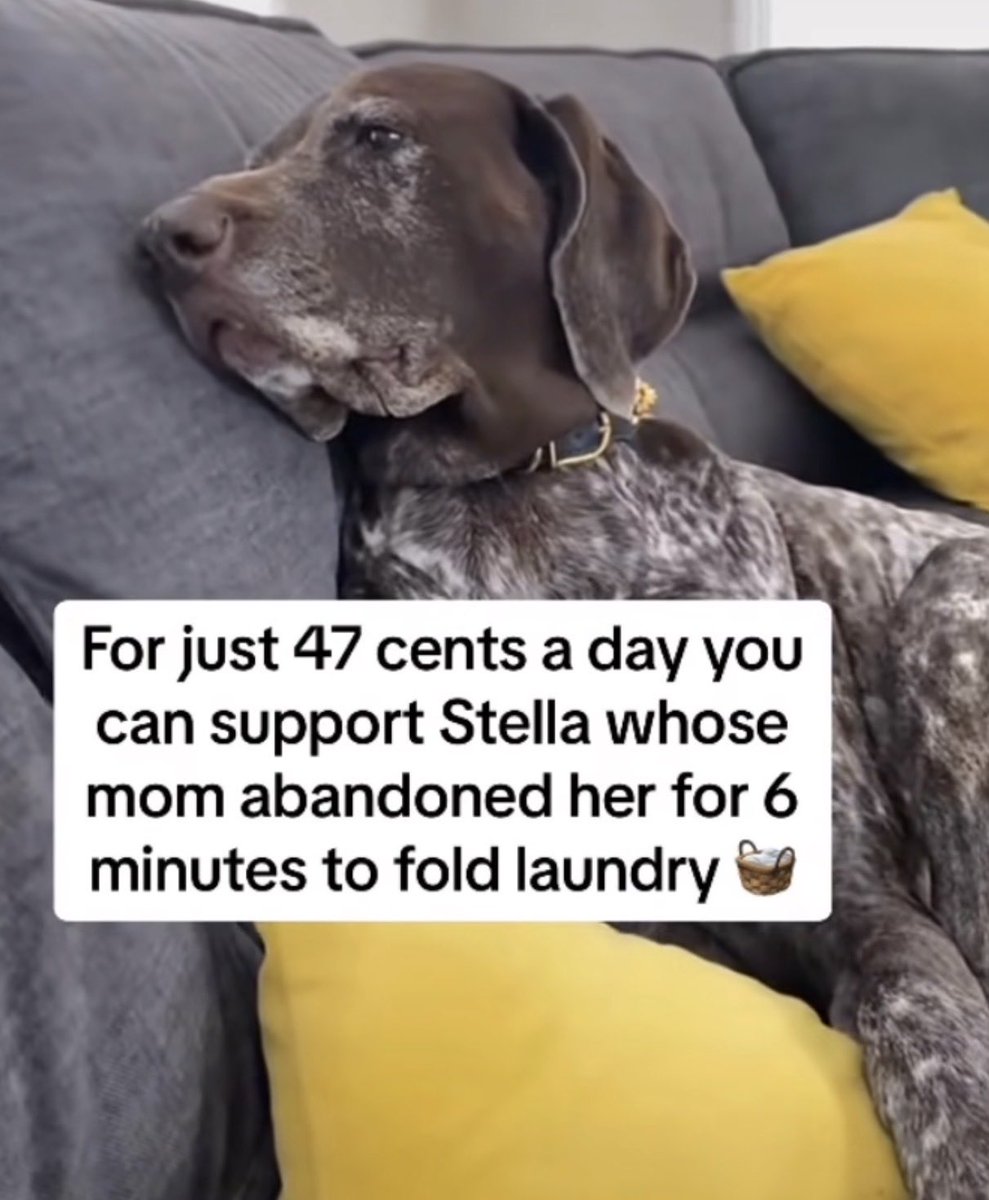 atensnut's tweet image. 😂😂😂😂😂🐕‍🦺🐕