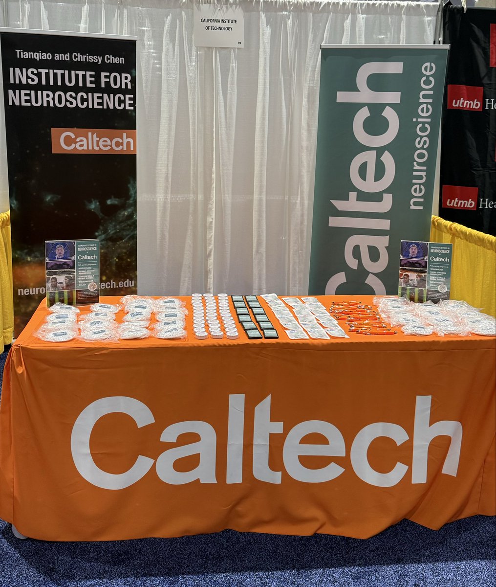 Caltech Neuroscience tweet media