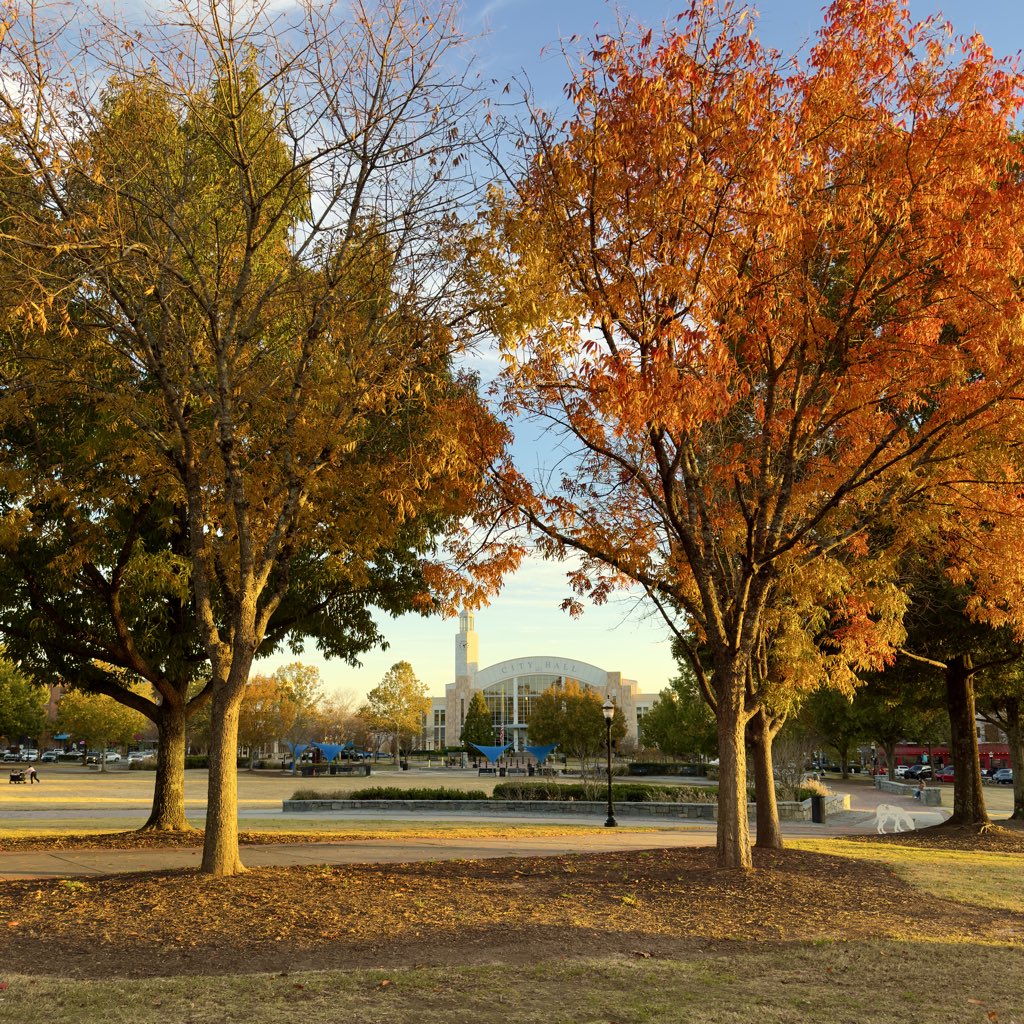 EddieErdmann's tweet image. Fall colors are still holding on in north Georgia #SuwaneeGA #autumnleaves #fallcolors #NorthGeorgia