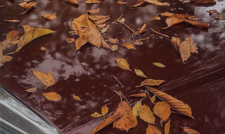 𝙳𝚊𝚛𝚔 𝚊𝚌𝚊𝚍𝚎𝚖𝚒𝚊 𝚍𝚛𝚎𝚊𝚖𝚜 (@academiadreams) on Twitter photo 