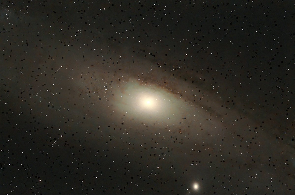 louis appleby tweet media