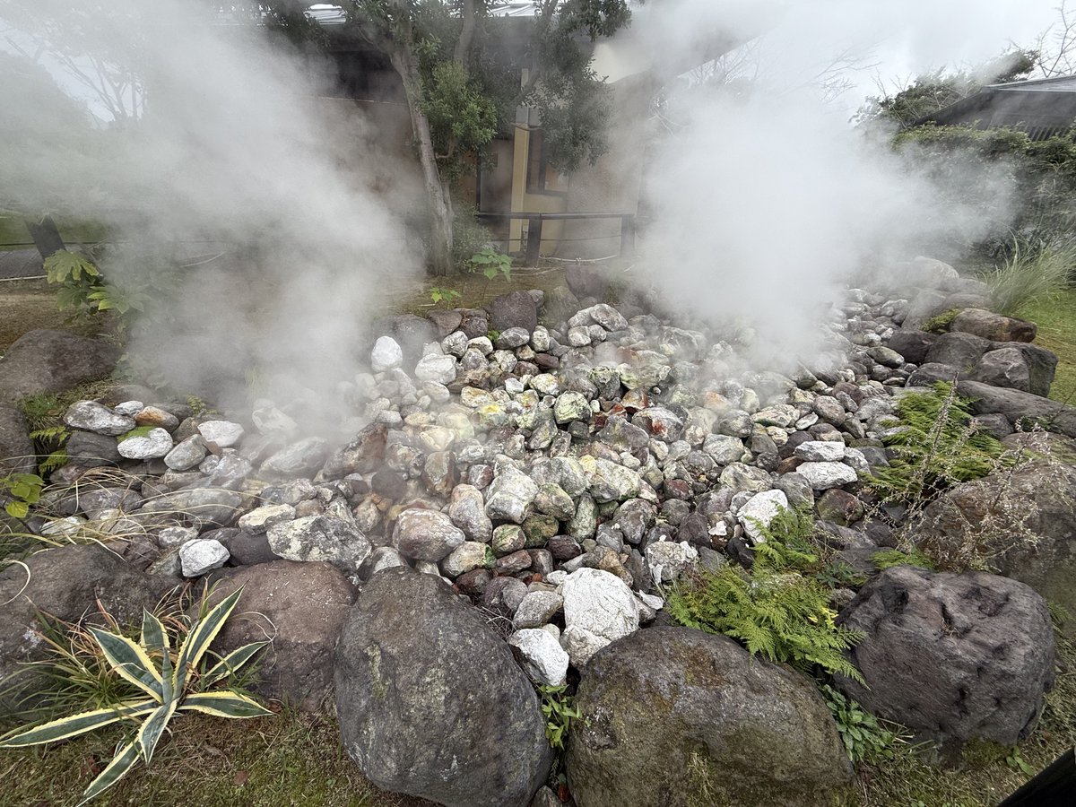 Michael Grönert tweet media