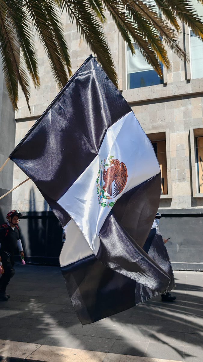 Breen_bzs's tweet photo. Mi México 🇲🇽💔 #MarchaNacional https://t.co/BU4cTKBek2