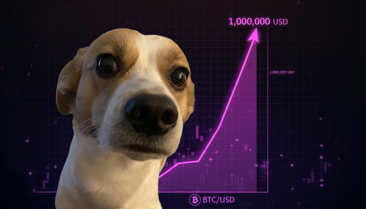 0xApollo (💜,🏛️) tweet media