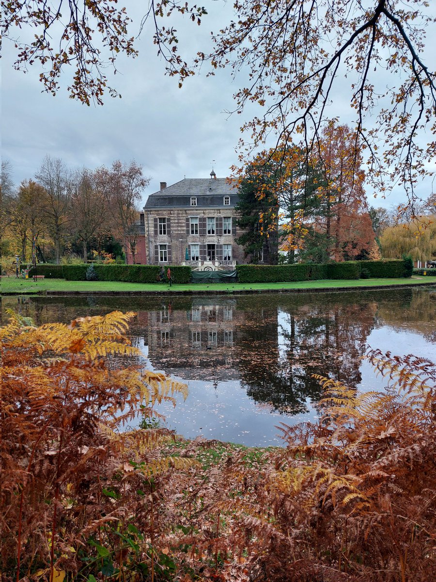 mathildeontwit's tweet image. Fijne avond en voor straks lekker slapen. Niet veel zon vandaag, toch fijn gewandeld rondom de vijvers van #strijthagen 
Laatste blaadjes, nog even genoten van de kleuren 🍂🍁