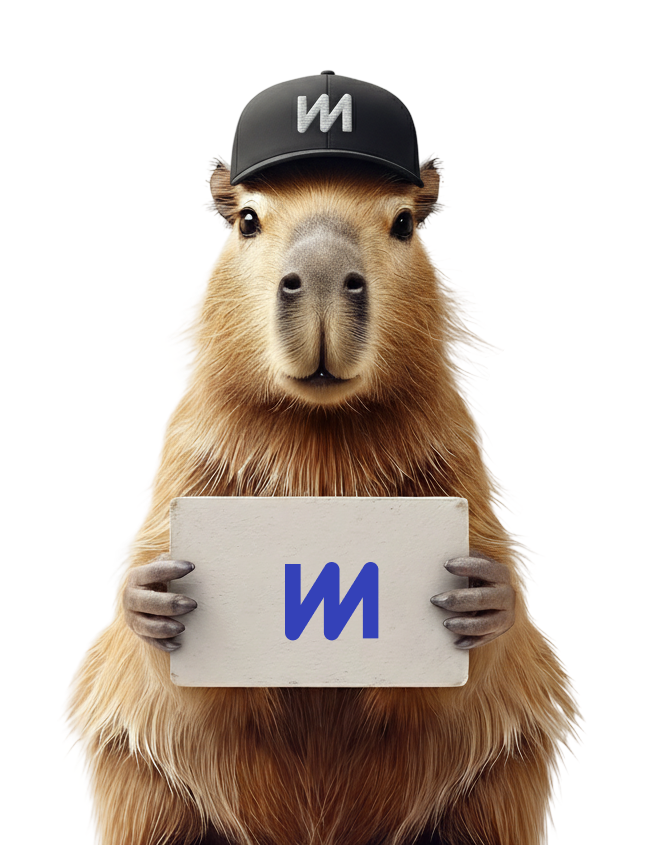 domoracom's tweet image. In that case, let me introduce you to fractionalized domains