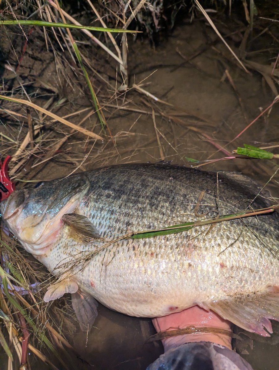 もう帰ります。