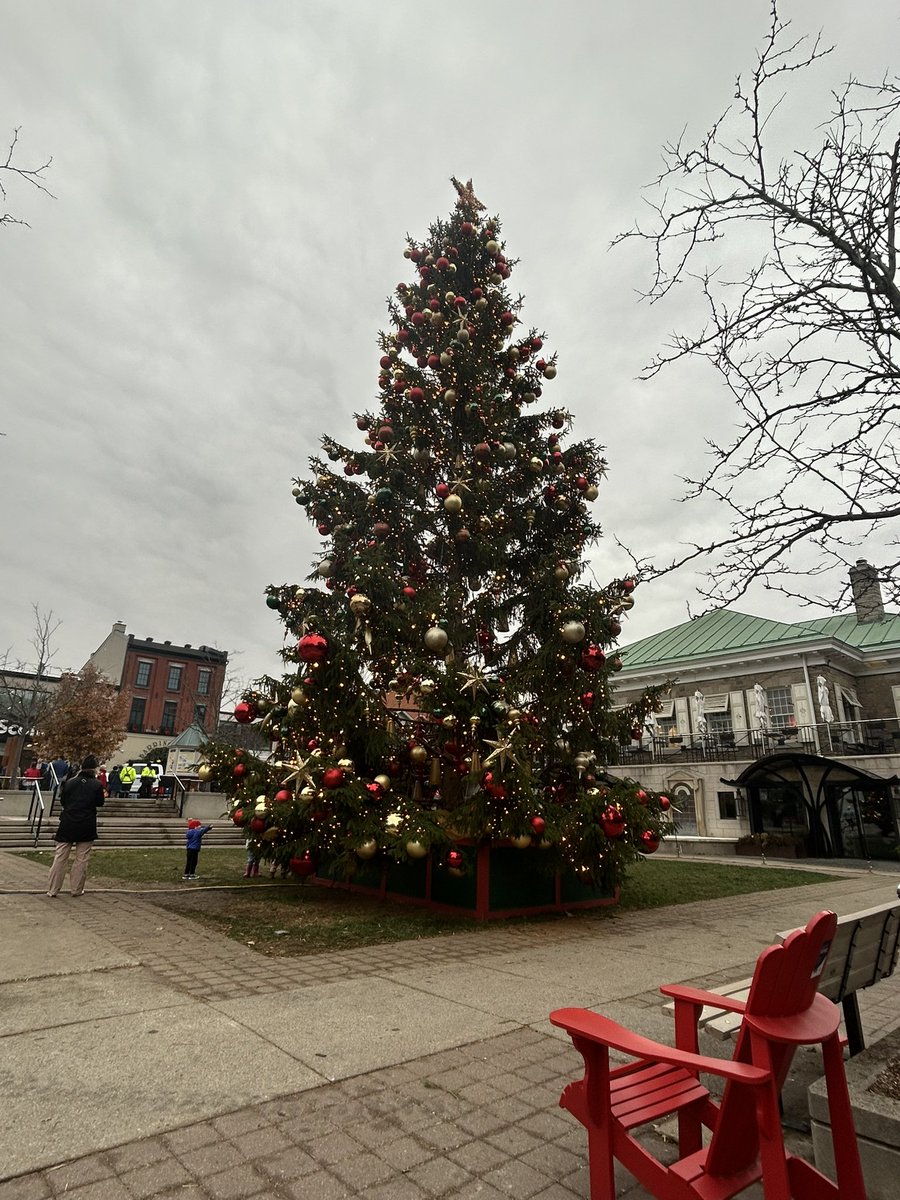 🎄
