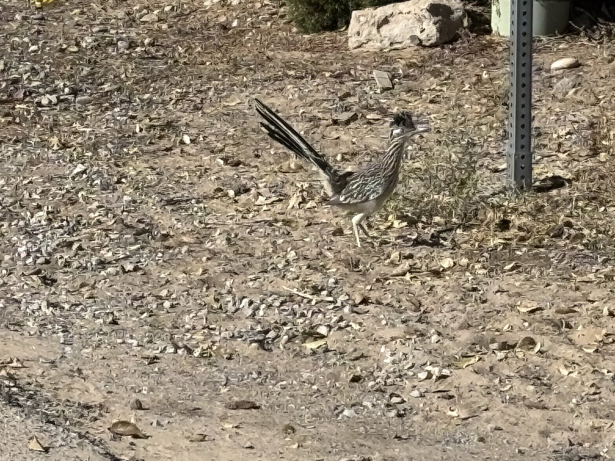 Out for a walk before SS starts.  71 F at the moment.  Won’t be able to make a full effort, but gotta get in there a little.