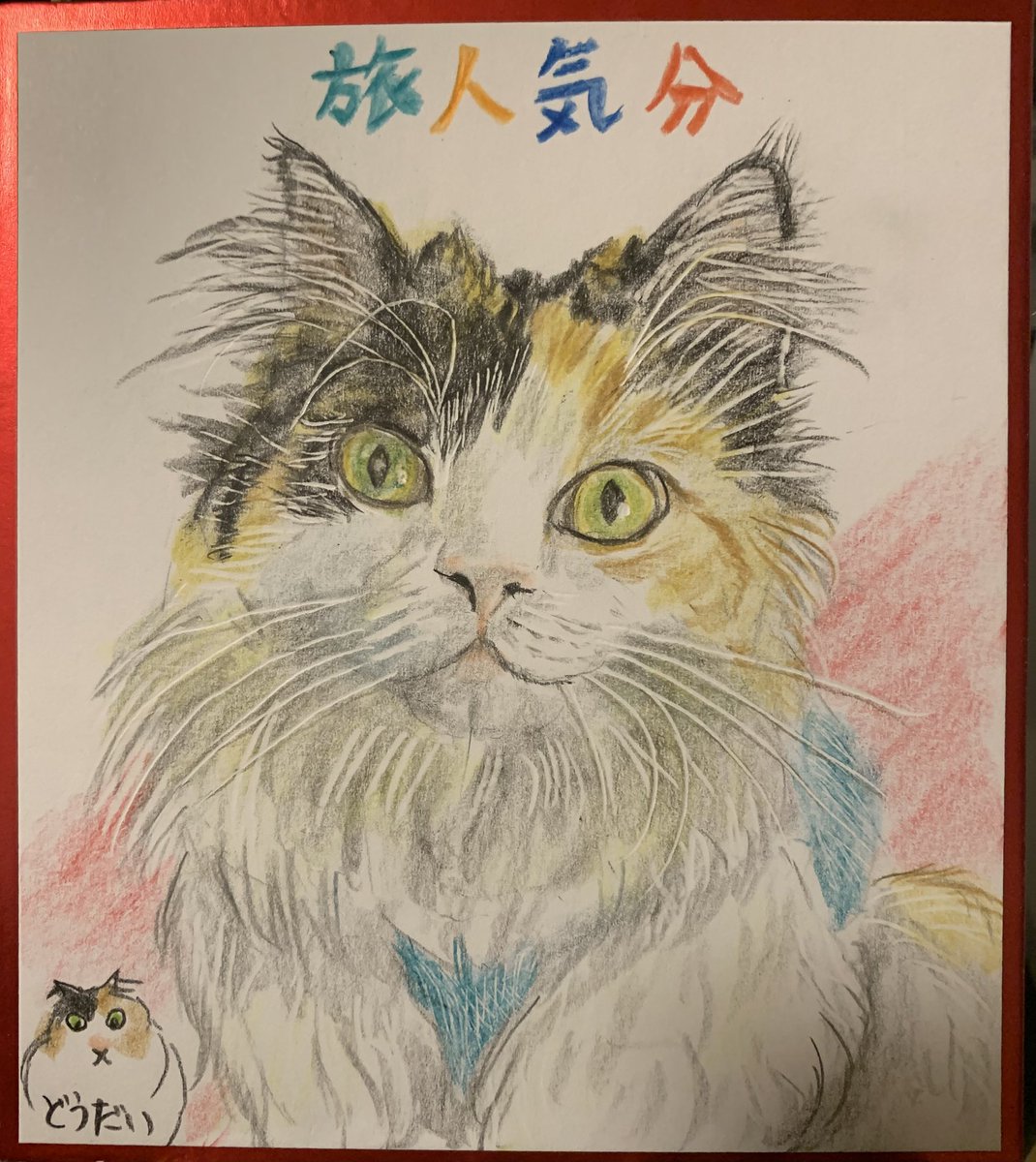 ☆らびこ☆ ♥らびこ♥🐰✨RD✨🍓 (@RabbitflowerD) / Posts / X