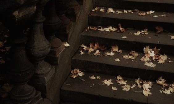 AcademiaDreams's tweet image. “Listen to them, the children of the night. What music they make!”

— Bram Stoker, Dracula