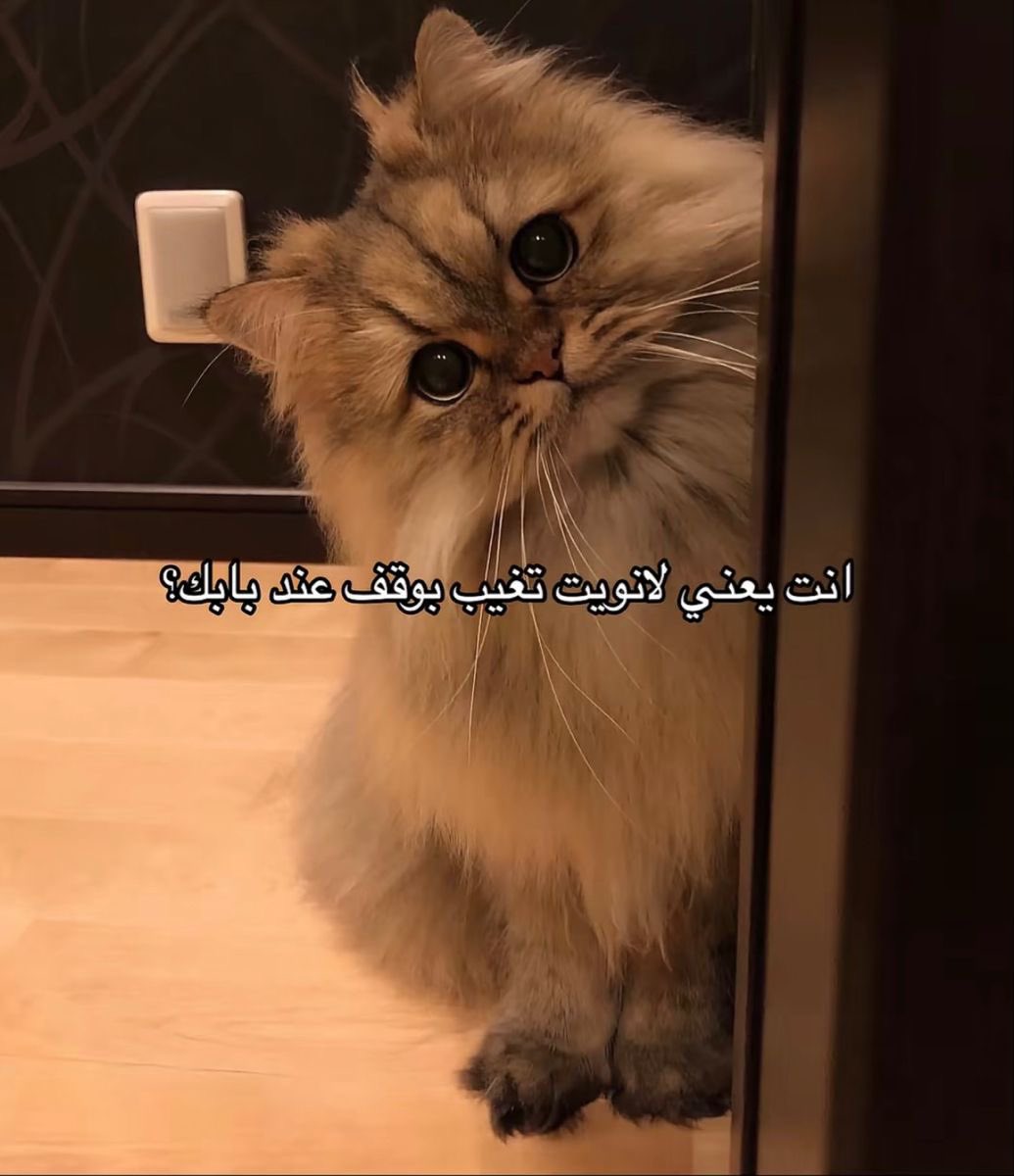 Ł (@shuq_mt) on Twitter photo 