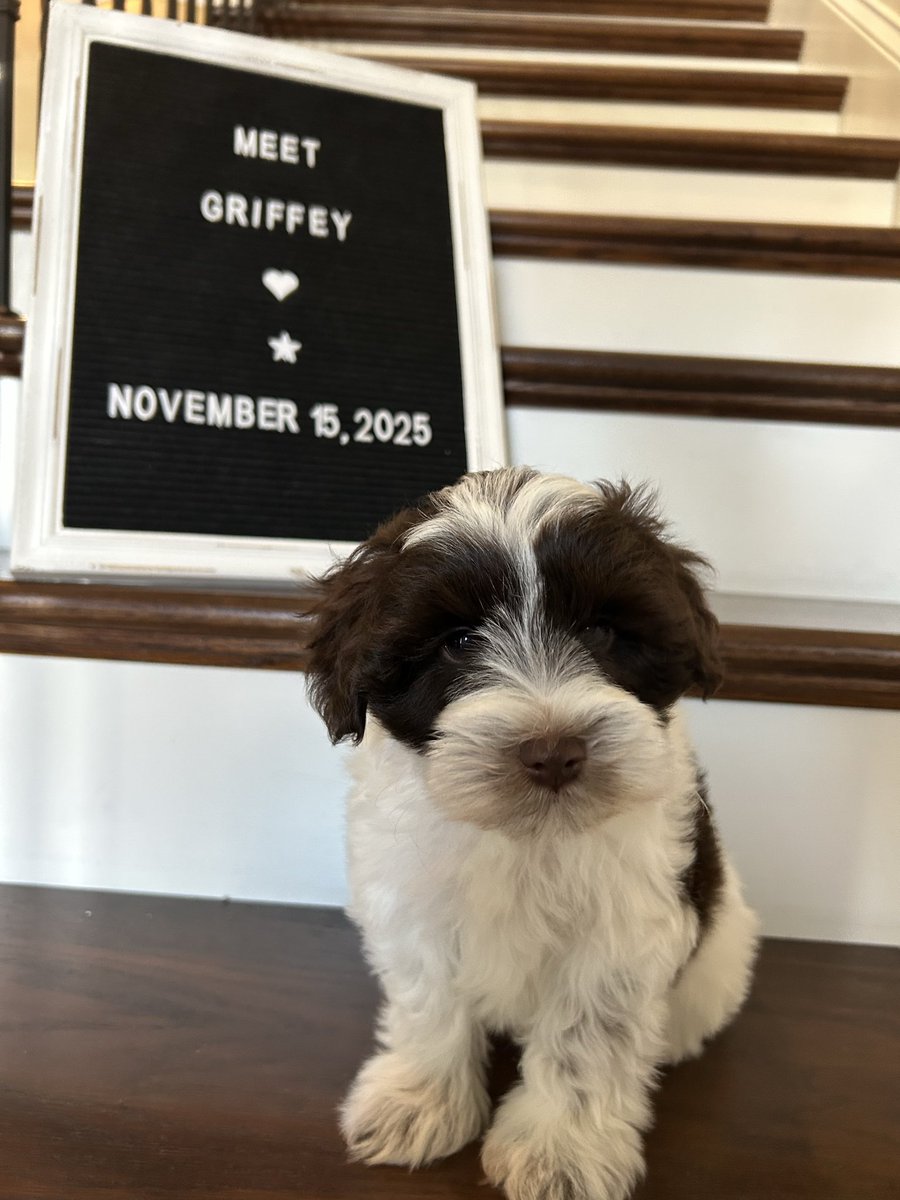 Meet the newest member of the family! 
<a href="/Reds/">Cincinnati Reds</a>