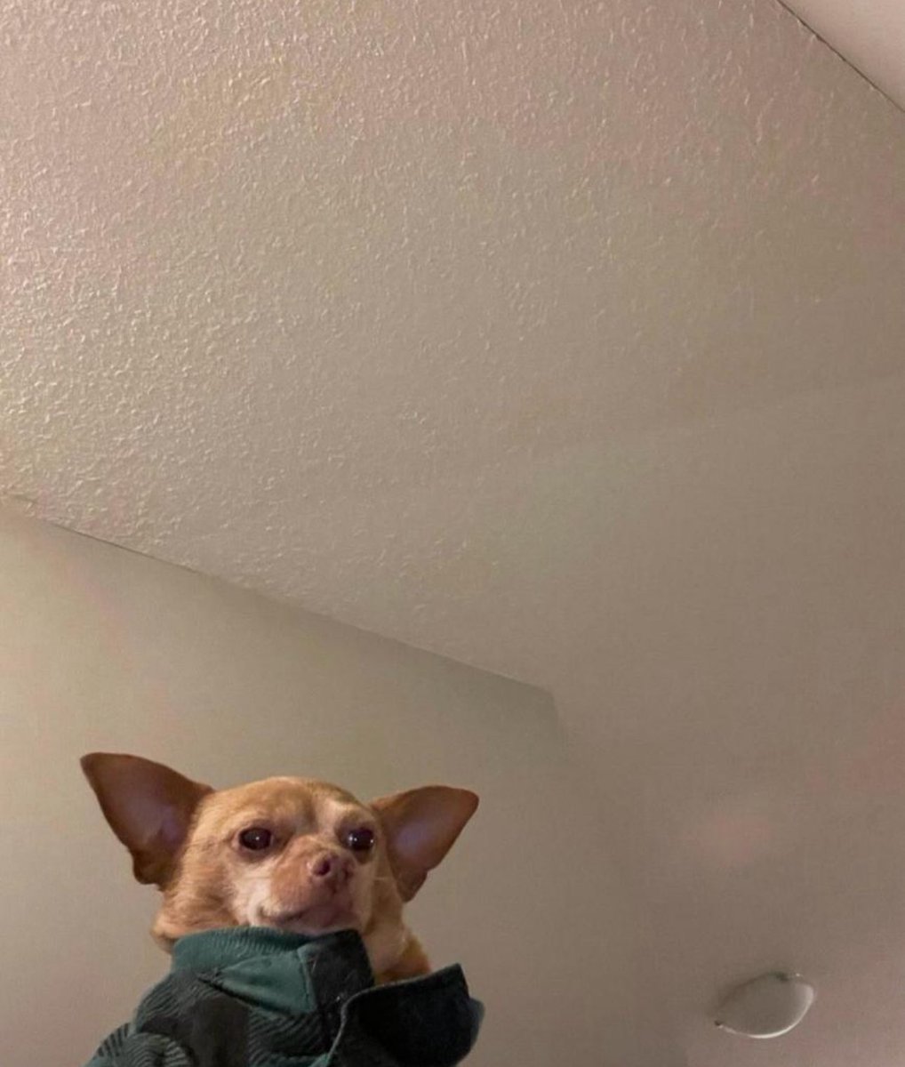 gozkybrain4u's tweet image. What if I just use db.json for the database instead of Mongodb or Supabase? 🤔