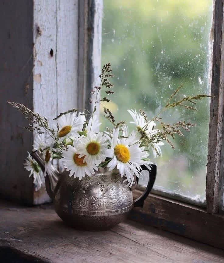 veritebeaute's tweet photo. "Ayez toujours quelque chose de beau en vue. Même si ce n'est qu'une marguerite dans un pot de confiture."
H. Jackson Brown https://t.co/FG2xX9LS6R