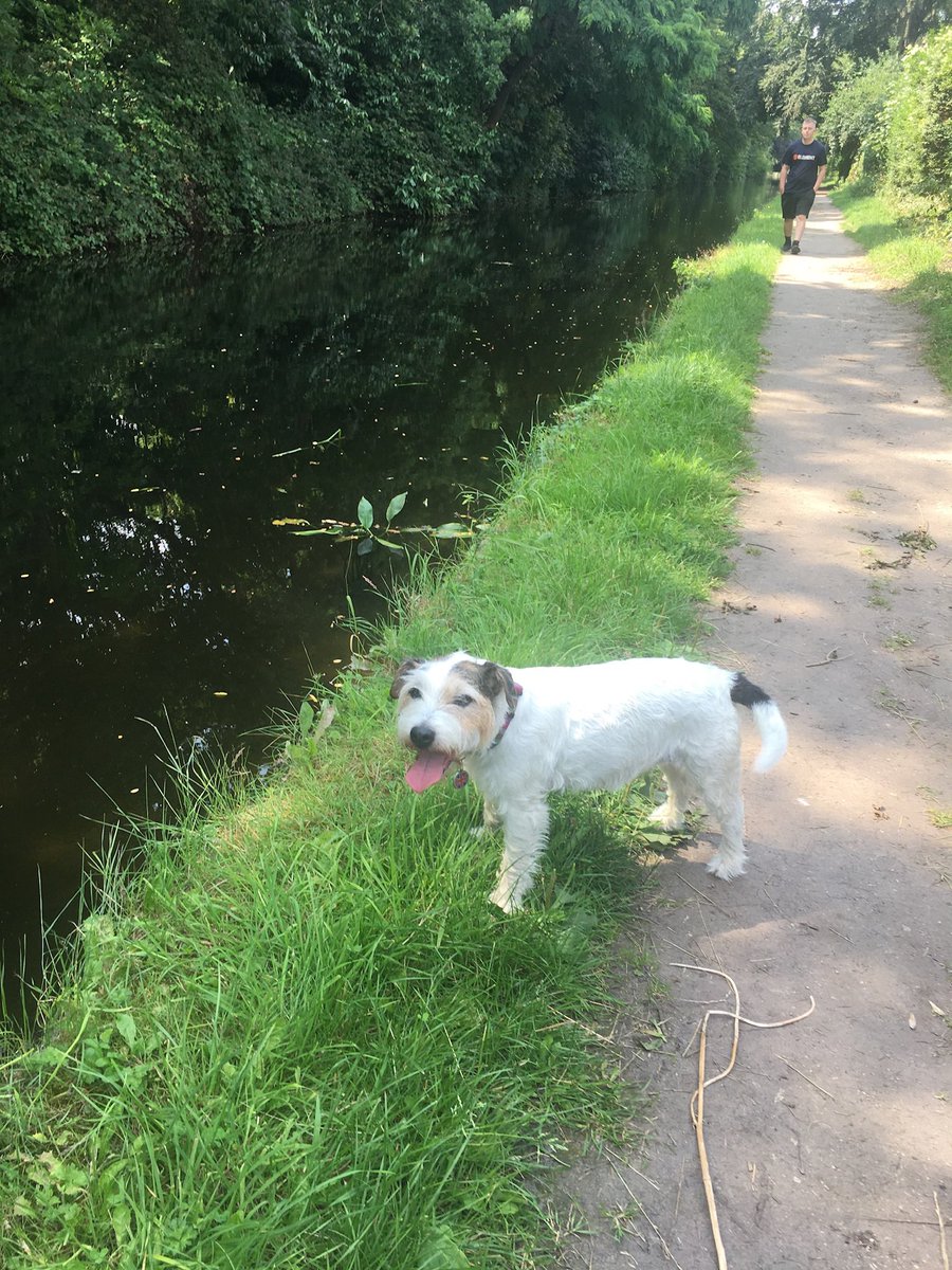 FizzWizz11's tweet photo. @tomparkerbowles 

So sorry to hear about your beloved Maud’s attack. Sending love and best wishes from Fizz and family x https://t.co/NArmFzH722