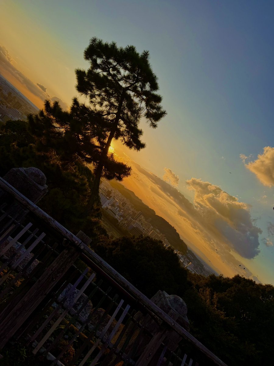 Robert Drummond tweet media