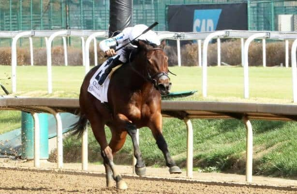 Shred the Gnar returns sharp with wire-to-wire win in Chilukki at Churchill.

horseracingnation.com/news/Churchill…

📸:  Churchill Downs / Cady Coulardot